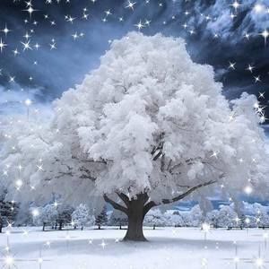 Meet your Posher, Lana